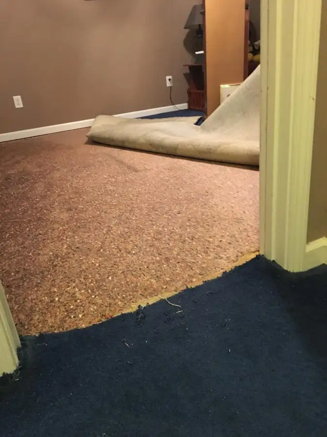 Carpet pad removal revealing water damage during Drying & Dehumidification in Muhlenberg