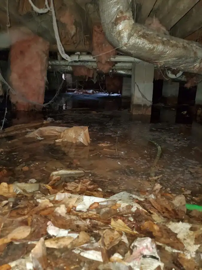 Crawl space flood assessment for Leak Detection & Repair in Muhlenberg