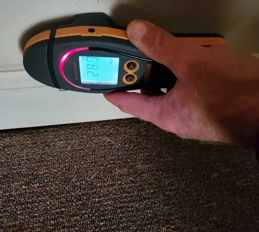Moisture detection at baseboard during Mold Inspection & Testing in Muhlenberg